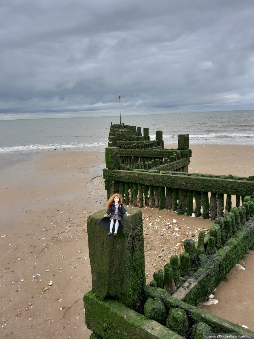 Гермиона путешествует — Куклы Harry Potter (Гарри Поттер) Mattel: Wizarding World (фото 4)