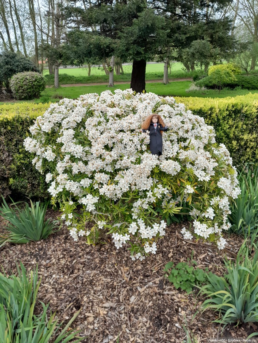 Гермиона путешествует — Куклы Harry Potter (Гарри Поттер) Mattel: Wizarding World (фото 6)