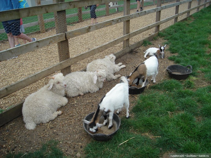 Гермиона путешествует — Куклы Harry Potter (Гарри Поттер) Mattel: Wizarding World