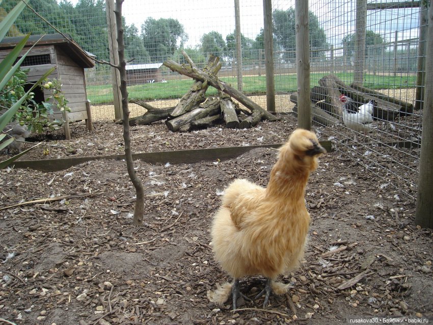 Гермиона путешествует — Куклы Harry Potter (Гарри Поттер) Mattel: Wizarding World