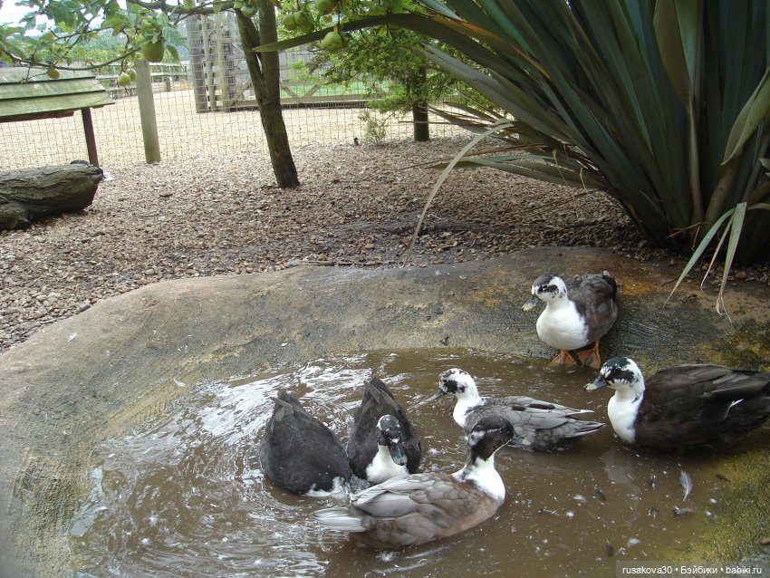 Гермиона путешествует — Куклы Harry Potter (Гарри Поттер) Mattel: Wizarding World