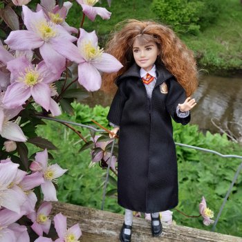 Гермиона путешествует