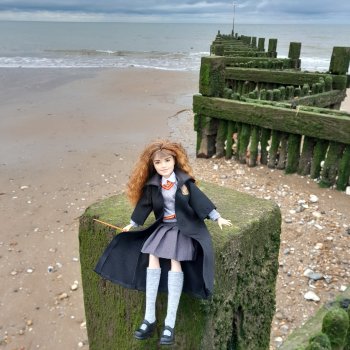 Гермиона путешествует