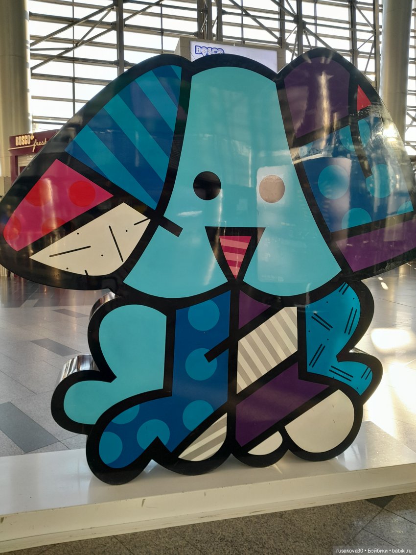 Самолет летит в Россию (продолжение) (фото 4)