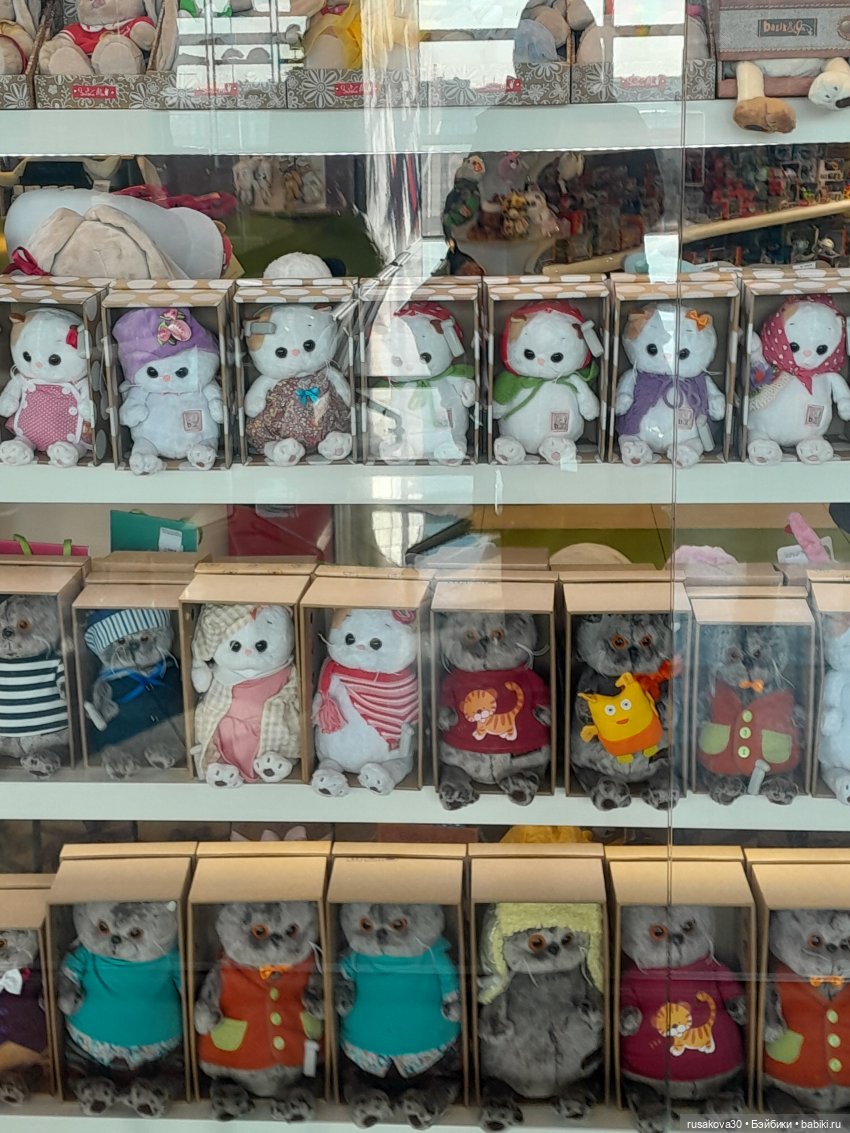 Самолет летит в Россию (продолжение)