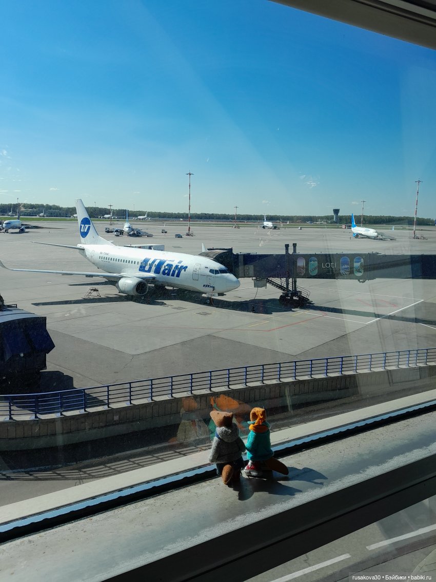 Самолет летит в Россию (продолжение)