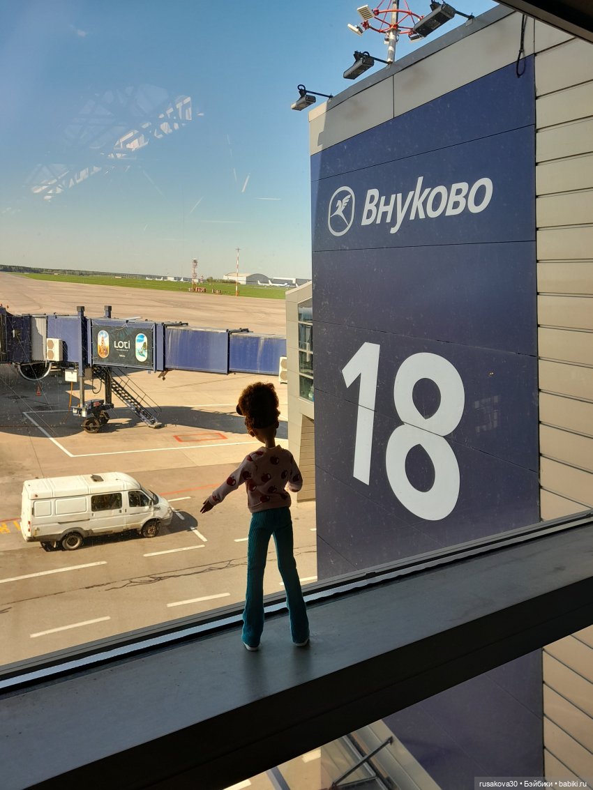 Самолет летит в Россию (продолжение)