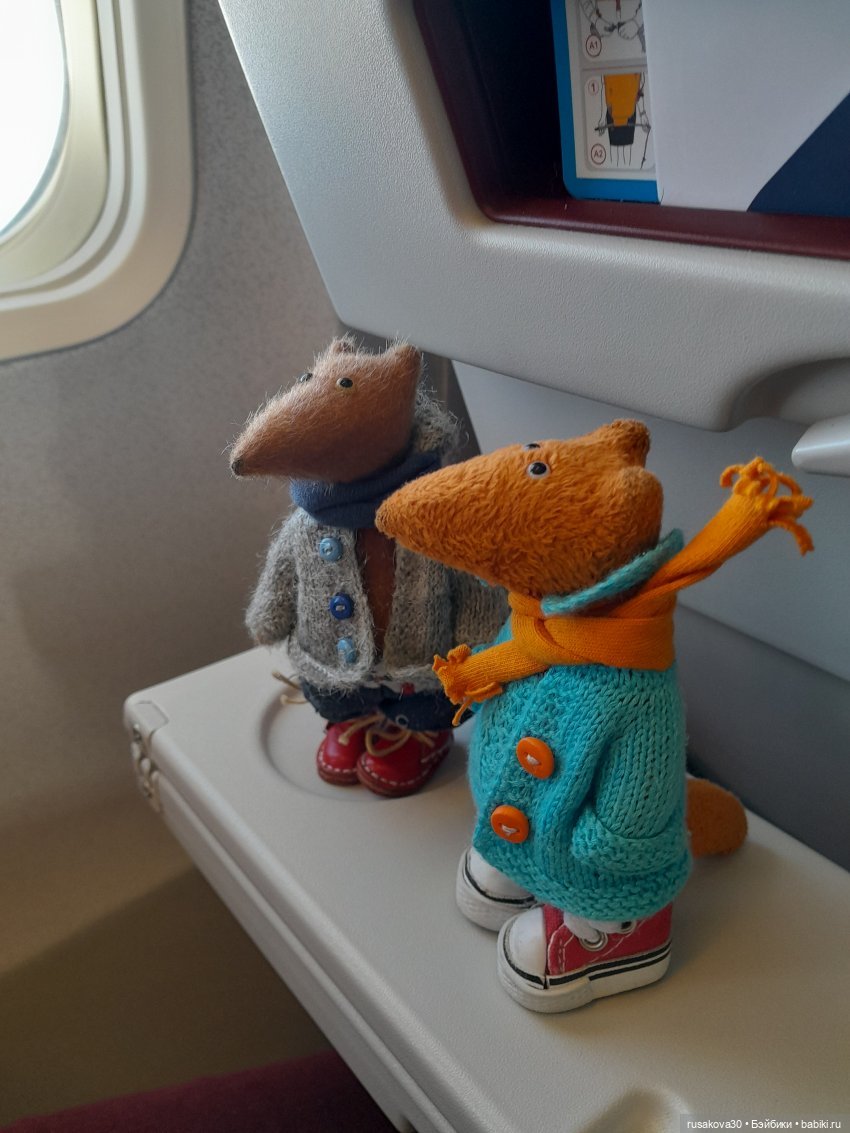 Самолет летит в Россию (продолжение)