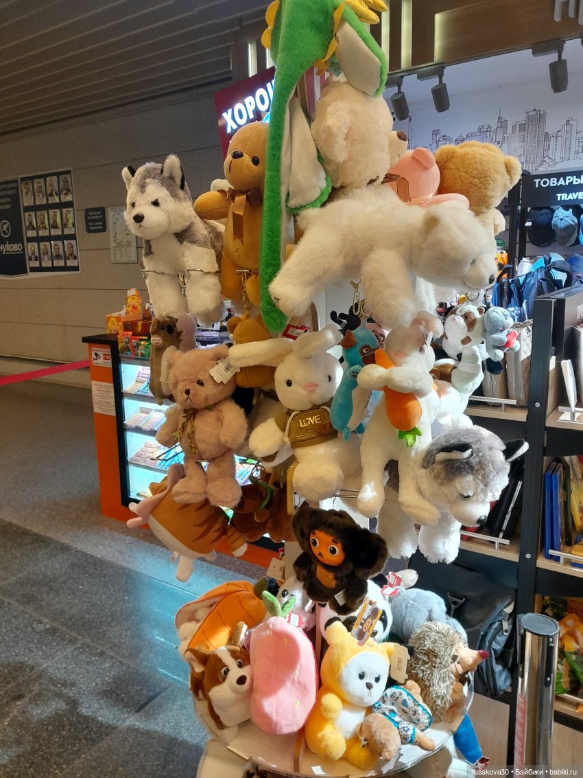 Самолет летит в Россию (продолжение)