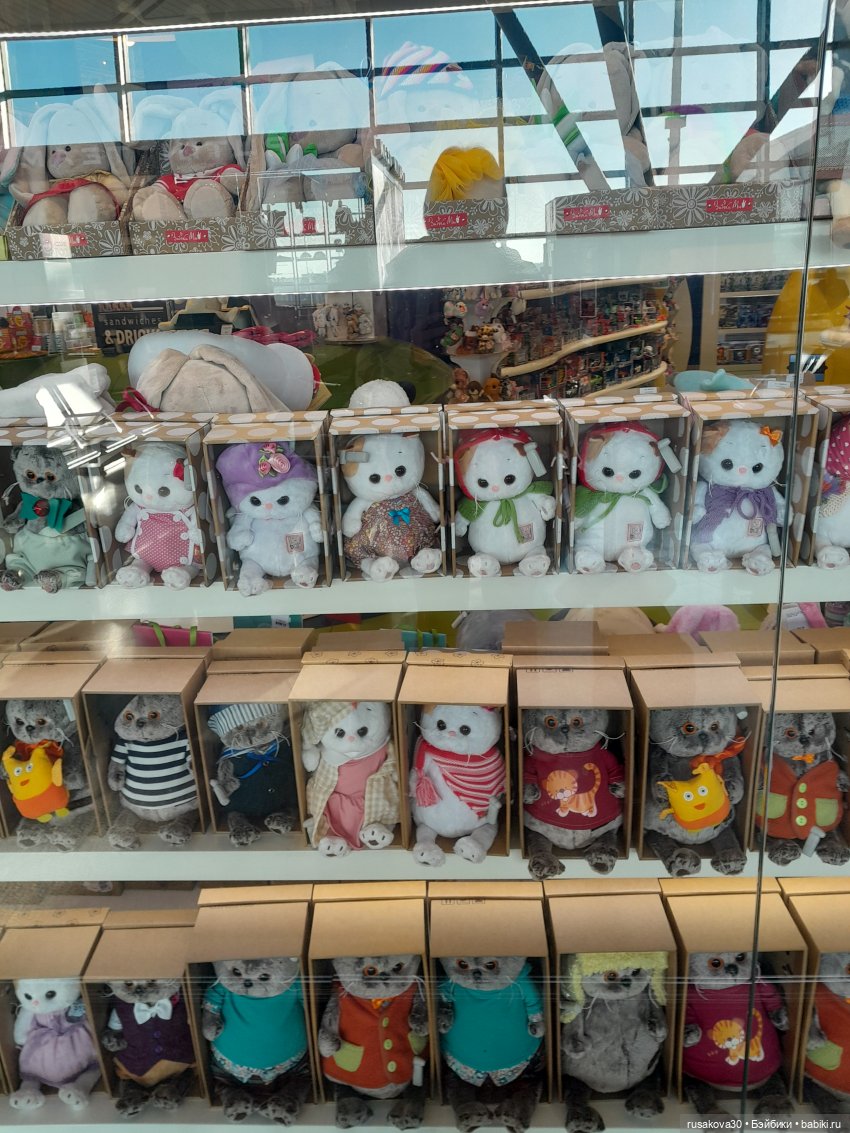 Самолет летит в Россию (продолжение)