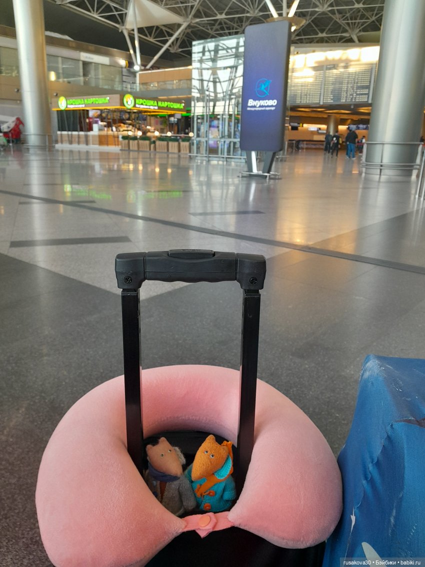 Самолет летит в Россию (продолжение) (фото 2)