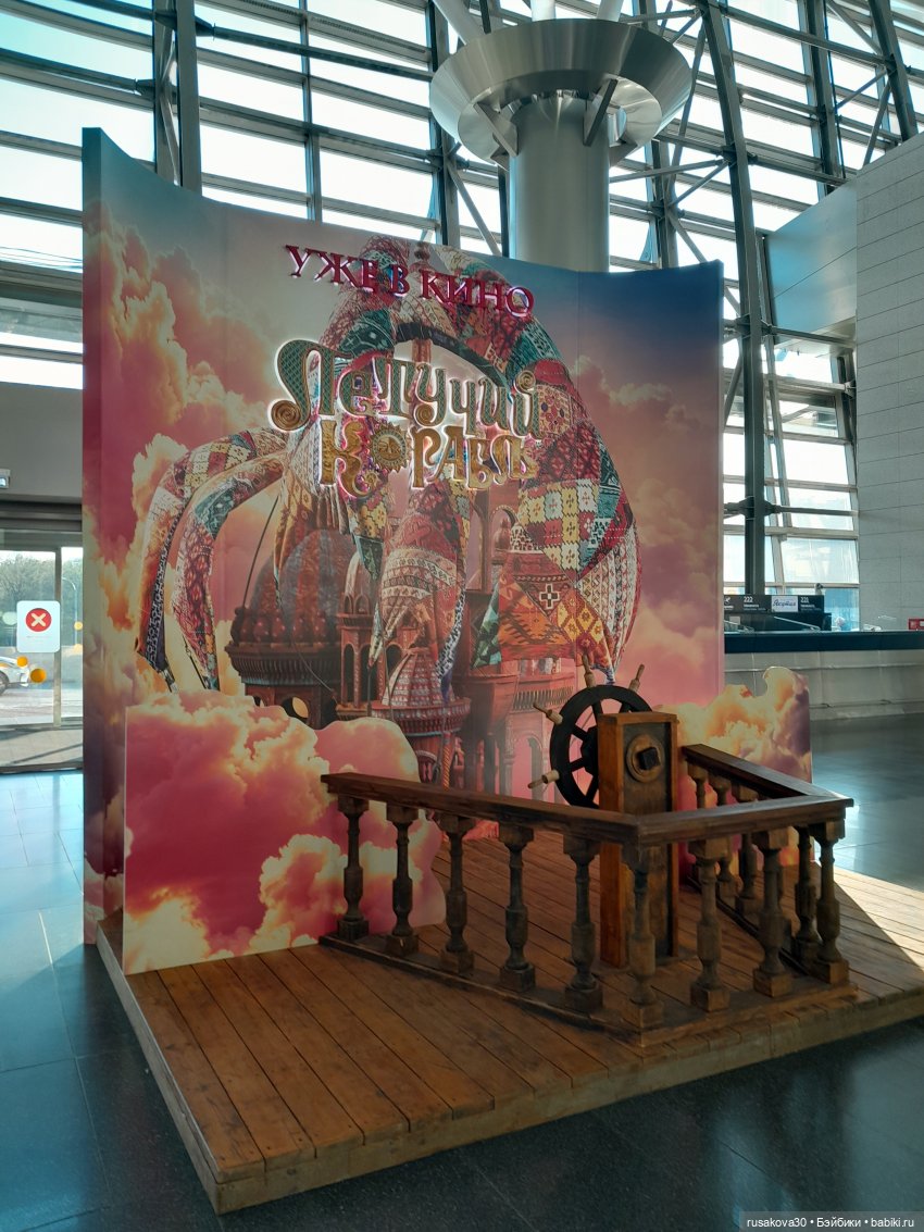 Самолет летит в Россию (продолжение) (фото 5)