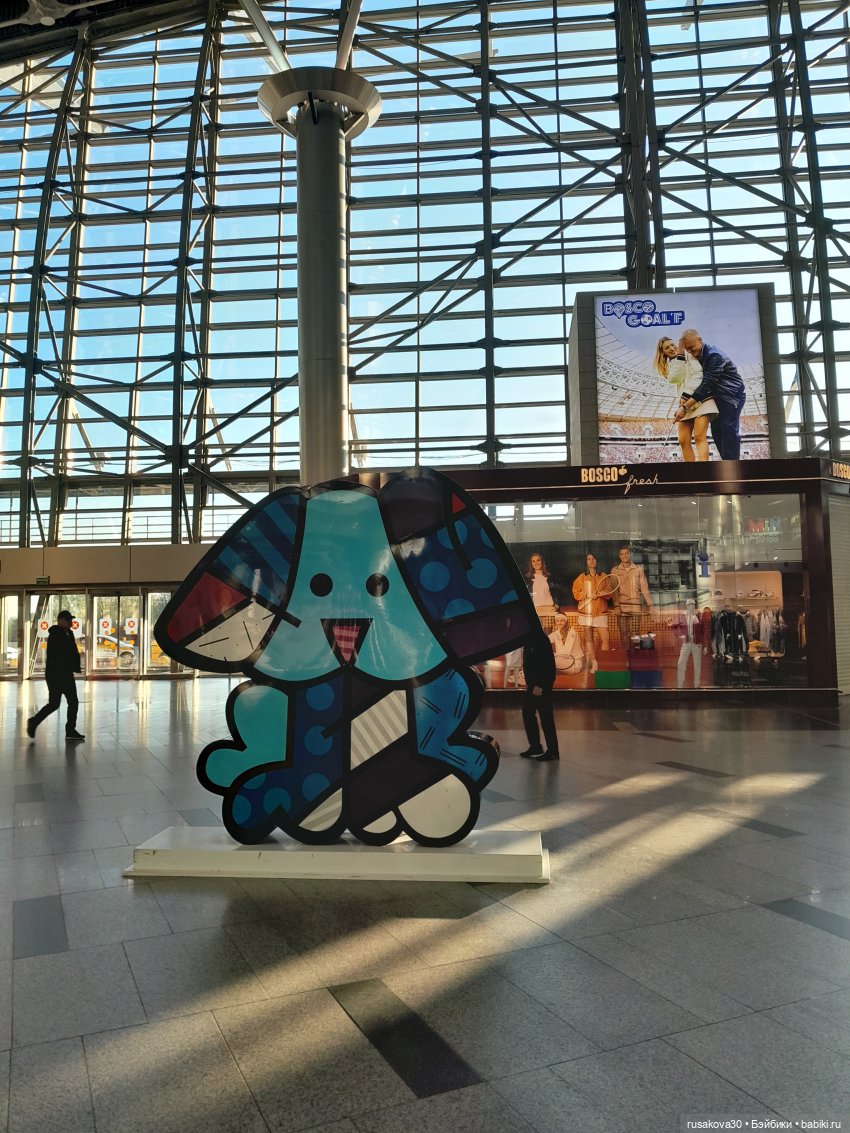 Самолет летит в Россию (продолжение) (фото 3)