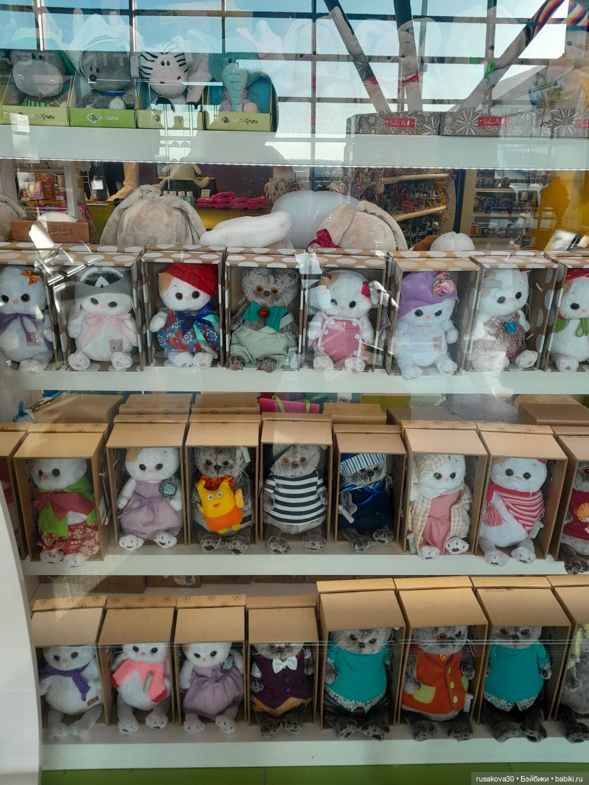 Самолет летит в Россию (продолжение)