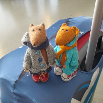 Самолет летит в Россию (продолжение)