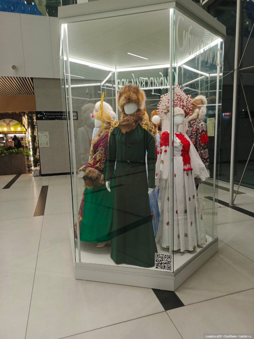 Самолет летит в Россию (продолжение)