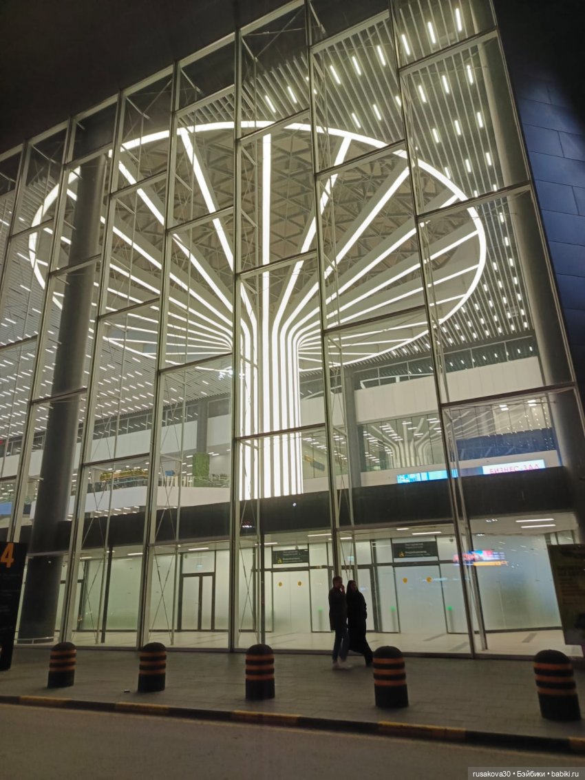 Самолет летит в Россию (продолжение)