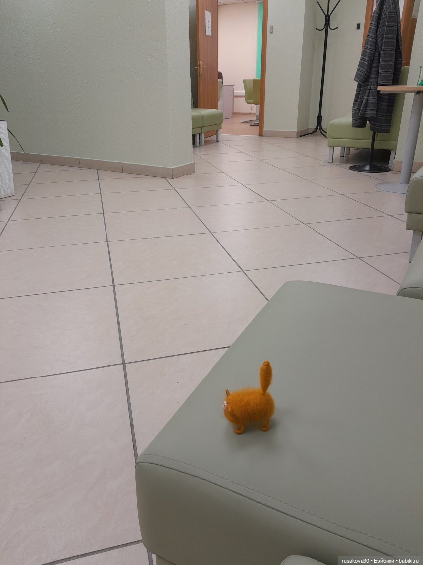 Как котик Рыжик знакомился с оперой (фото 4)