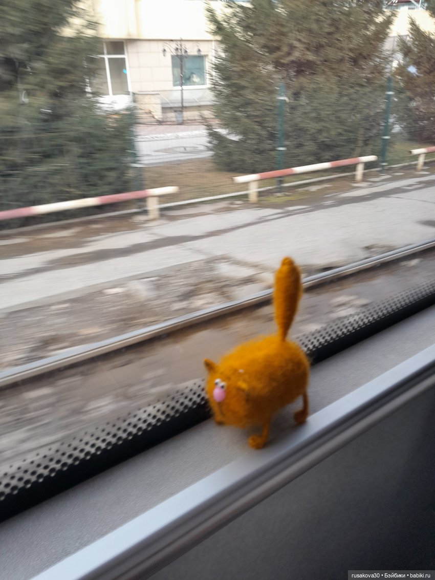 Как котик Рыжик знакомился с оперой