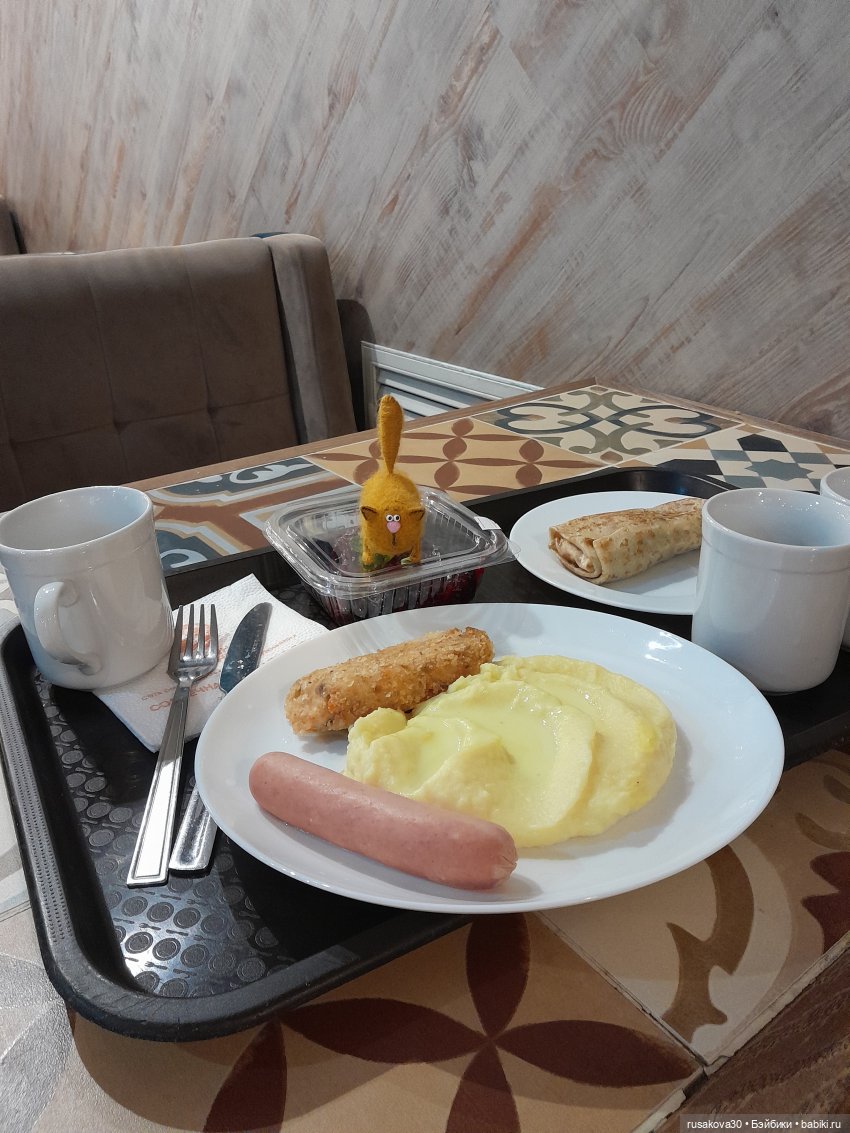 Как котик Рыжик знакомился с оперой