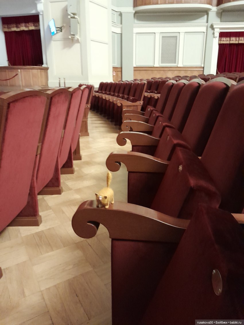 Как котик Рыжик знакомился с оперой