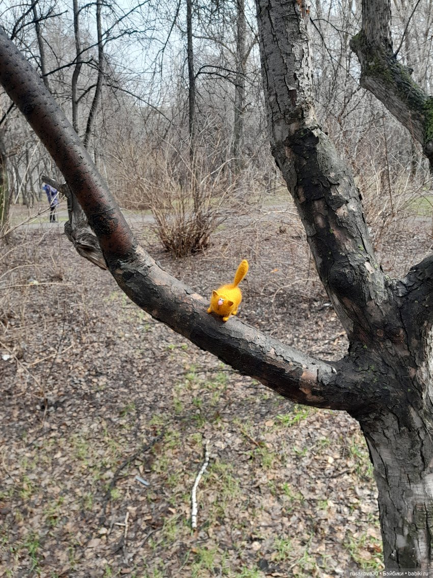 Как котик Рыжик знакомился с оперой (фото 6)