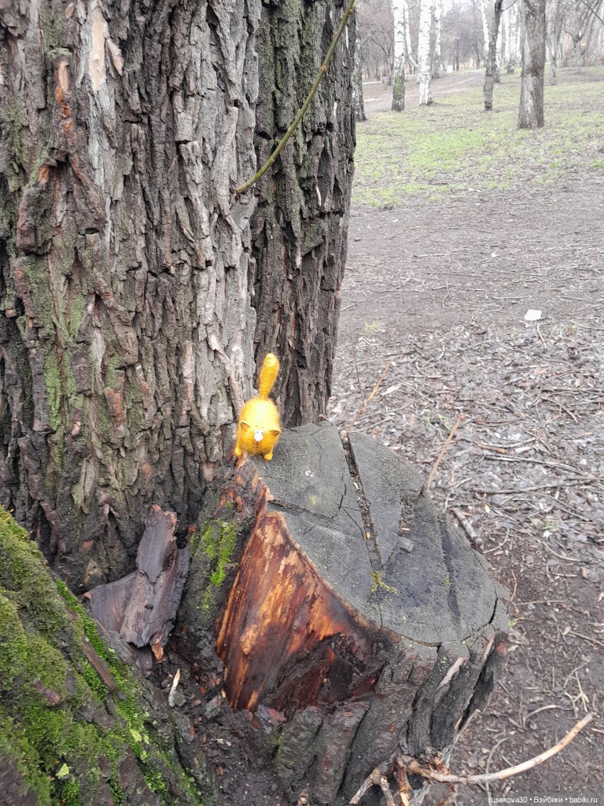 Как котик Рыжик знакомился с оперой (фото 5)