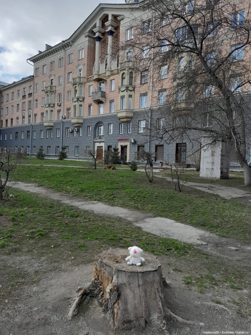 Кофейные котики : Молоко и Какао (фото 4)