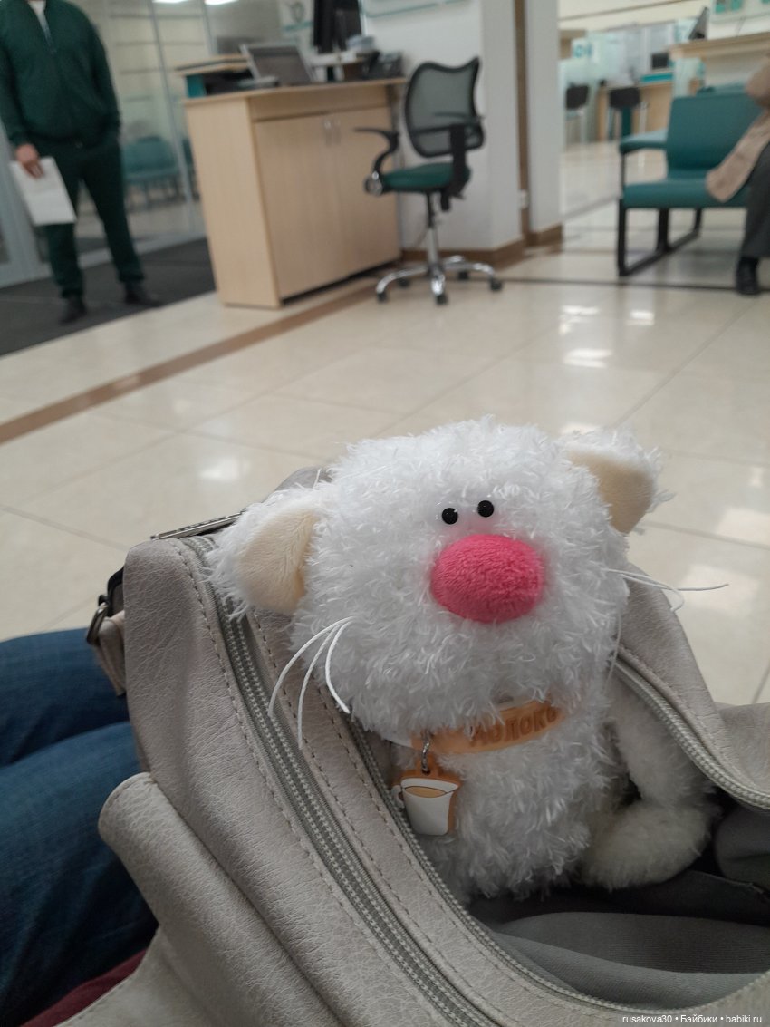 Кофейные котики : Молоко и Какао (фото 3)