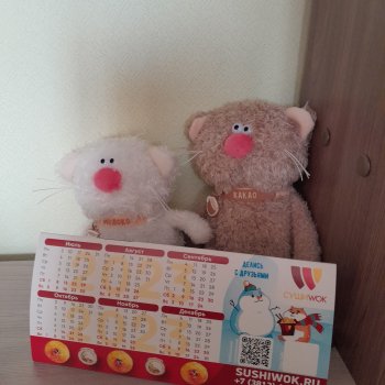 Кофейные котики : Молоко и Какао