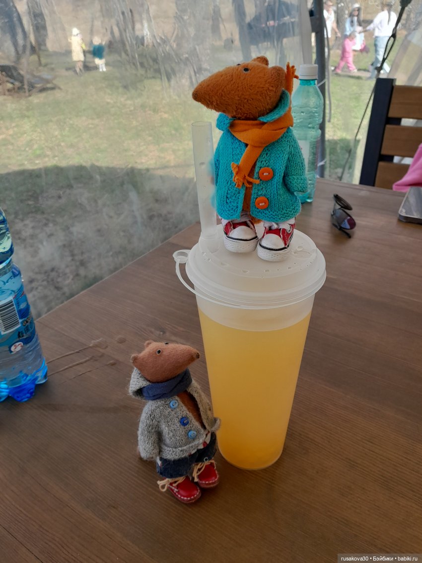 Как Людвиг и Нильс с друзьями в Мира парк ездили