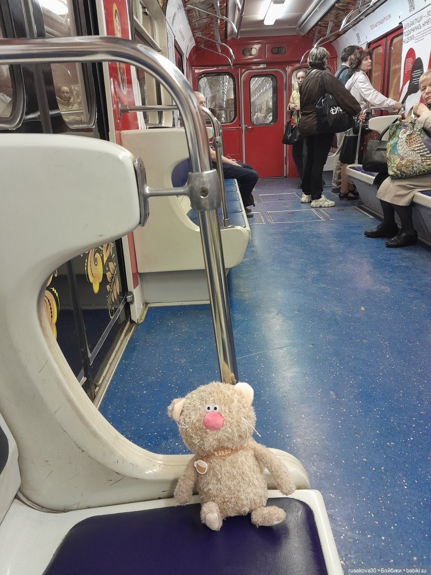 Кот Какао на прогулке — Кот Басик (фото 7)