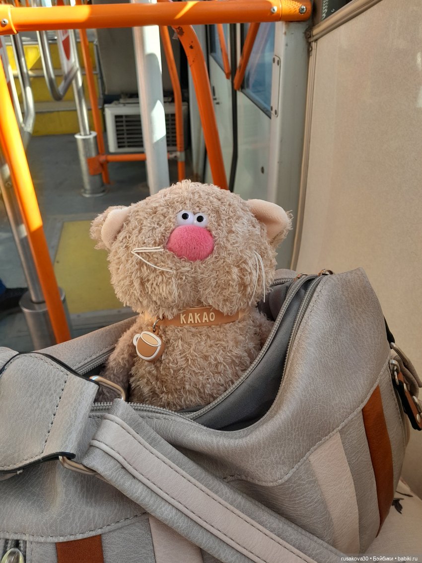 Кот Какао на прогулке — Кот Басик