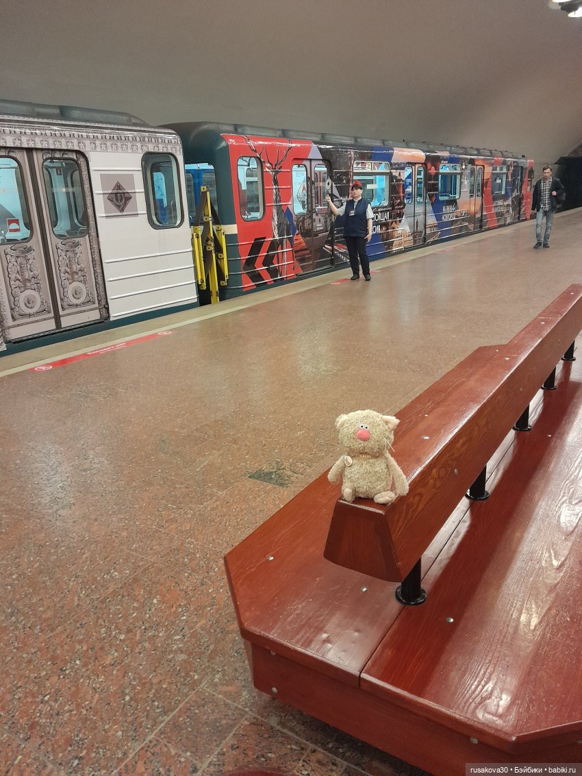 Кот Какао на прогулке — Кот Басик (фото 8)