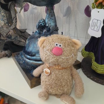 Кот Какао на прогулке