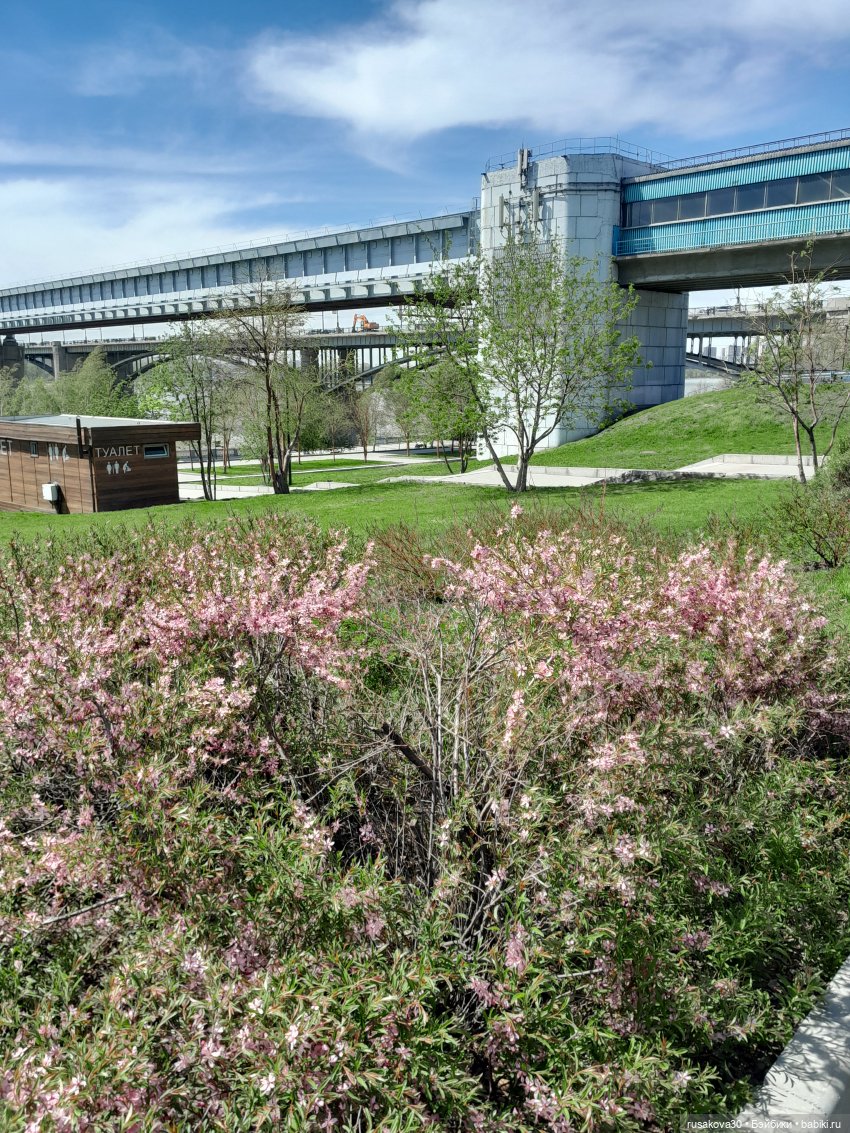 Мия знакомится с Новосибирском (фото 5)