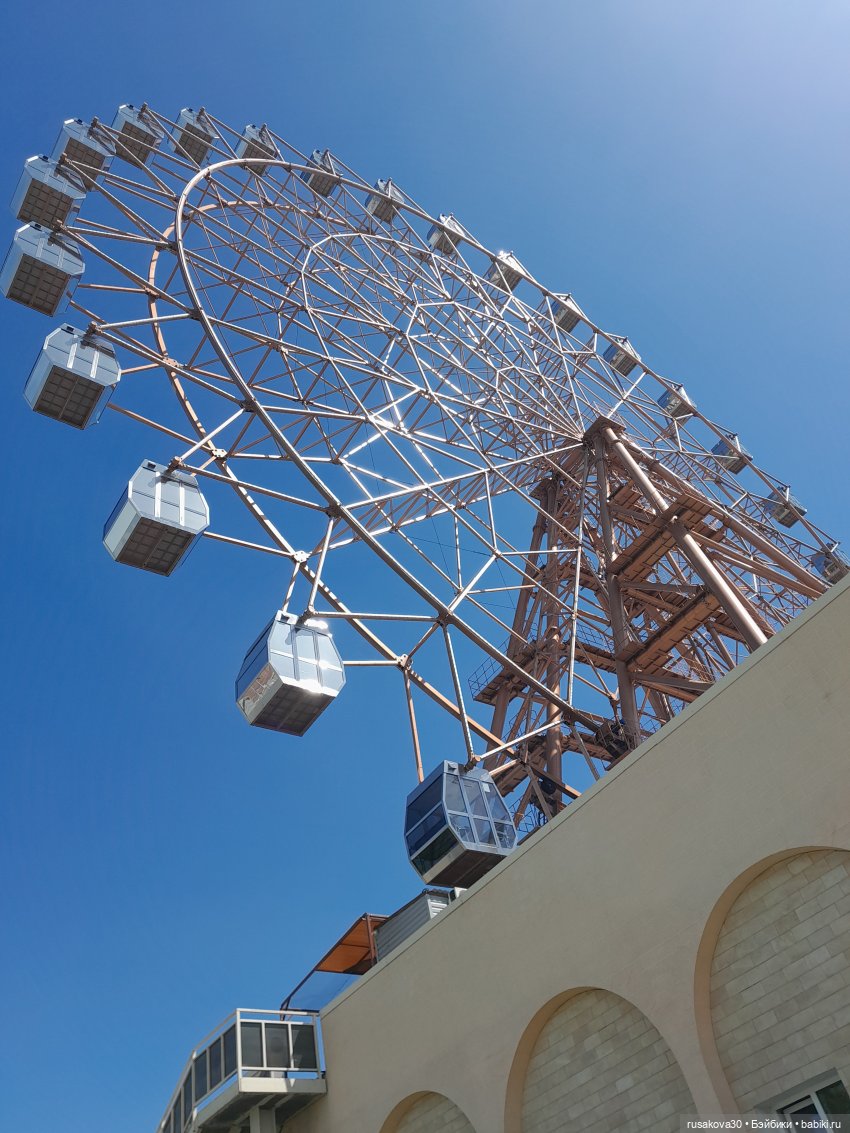 Мия знакомится с Новосибирском (фото 7)