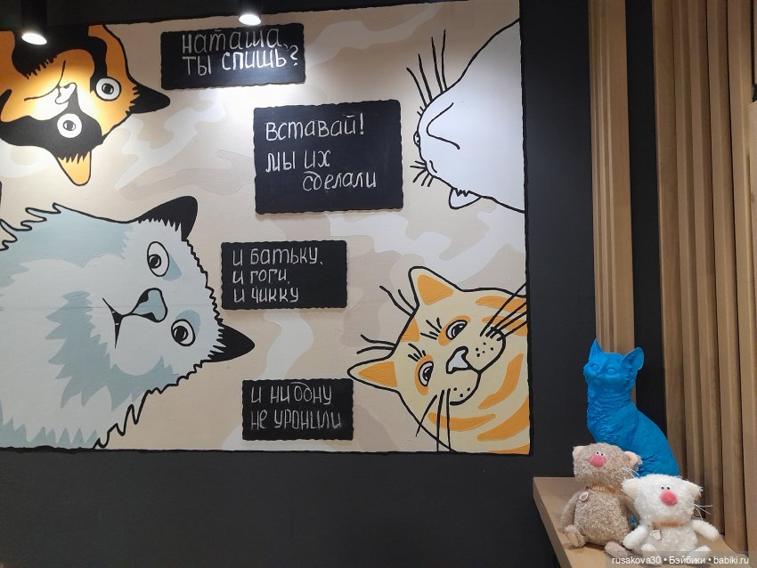 Кофейные котики и котлеты