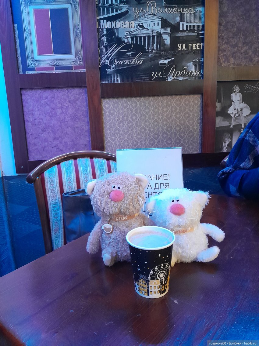 Котики театралы — Кот Басик