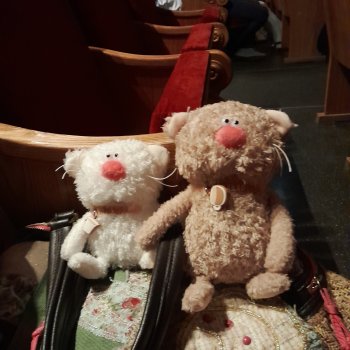 Котики театралы