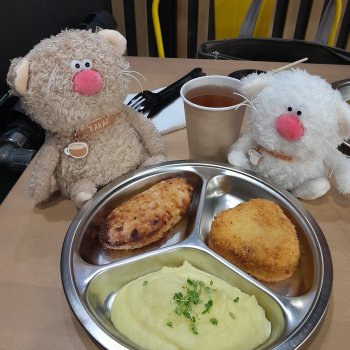 Кофейные котики и котлеты