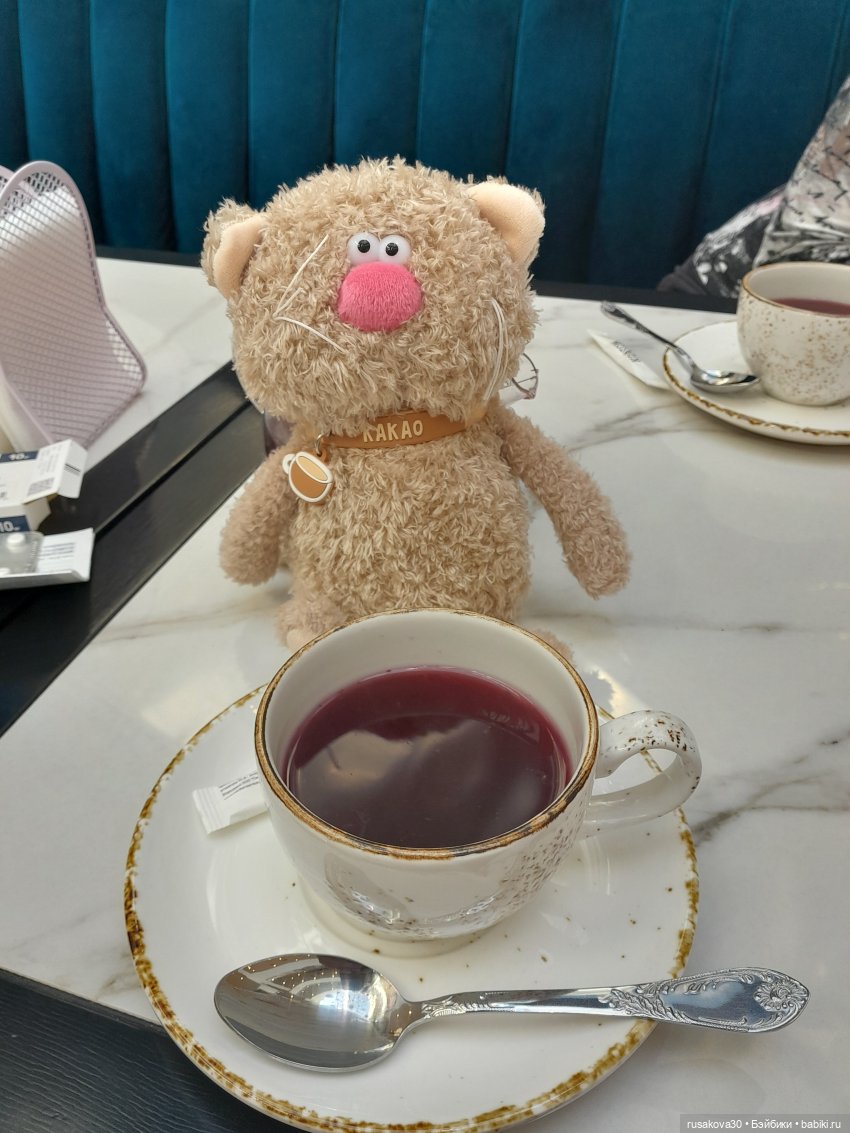 Кот Какао на прогулке — Кот Басик (фото 2)