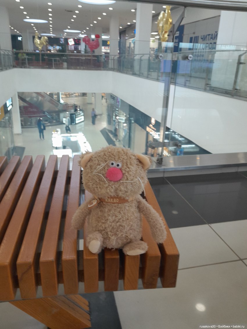 Кот Какао на прогулке — Кот Басик (фото 5)