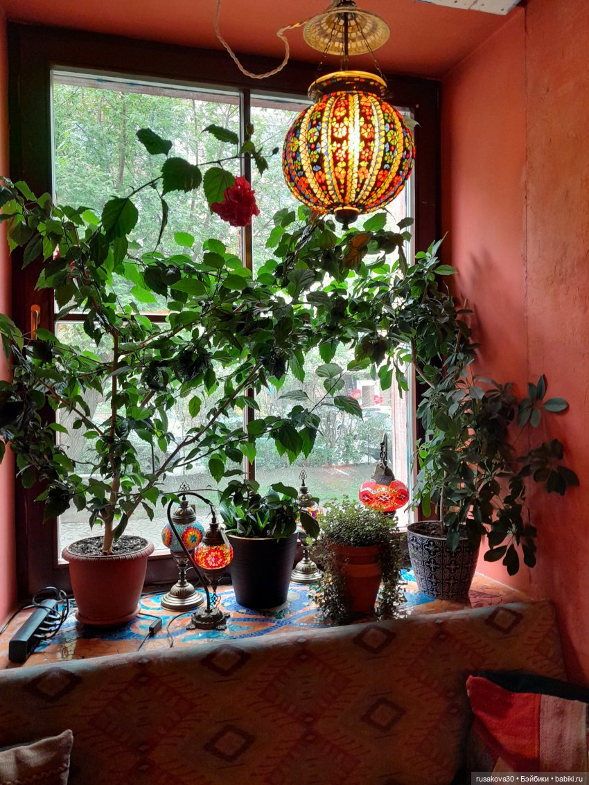 Людвик,Нильс и Машка в кафе "Кардамон" (фото 3)