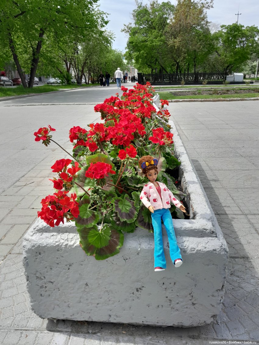 Снежка гуляет по Новосибирску (фото 9)