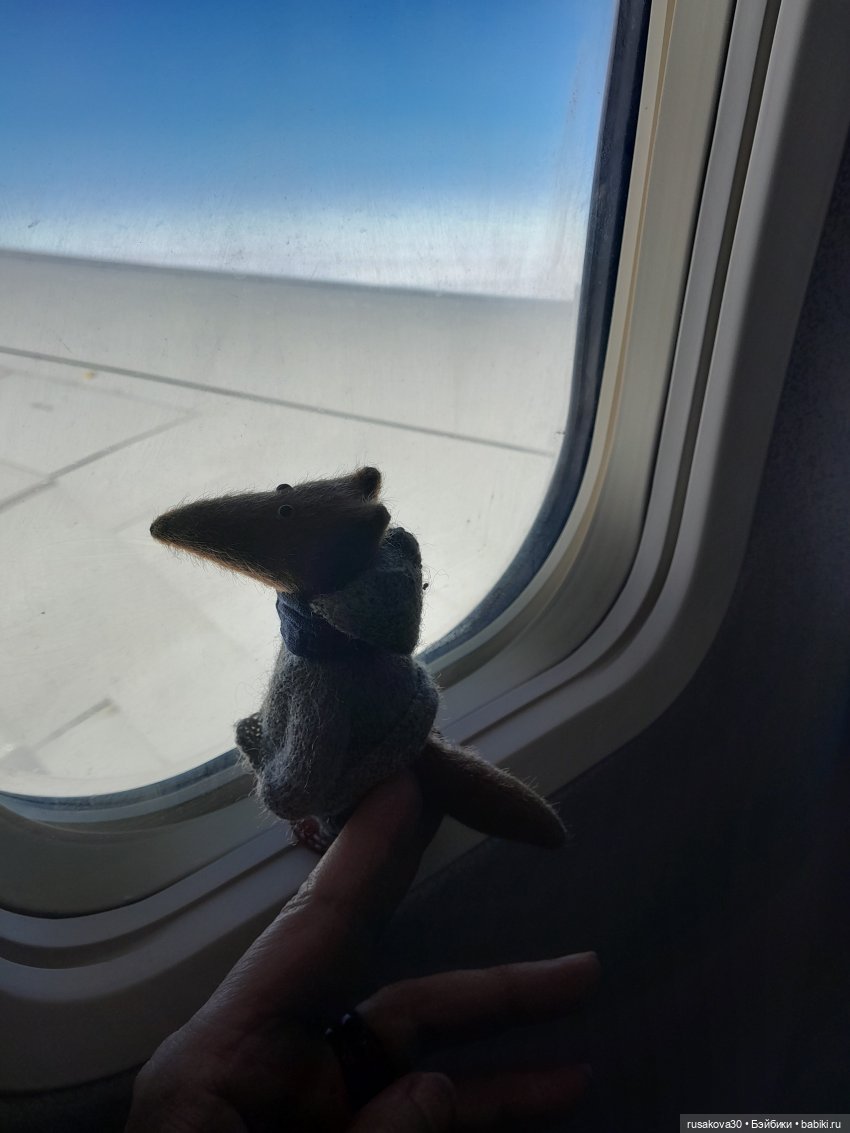 Малыши Басики и цветущие рододе́ндроны