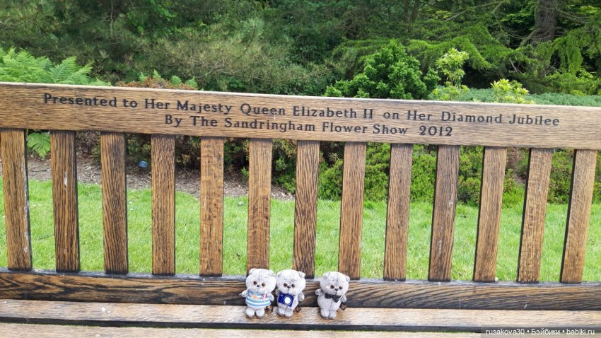 Малыши Басики и цветущие рододе́ндроны (фото 10)