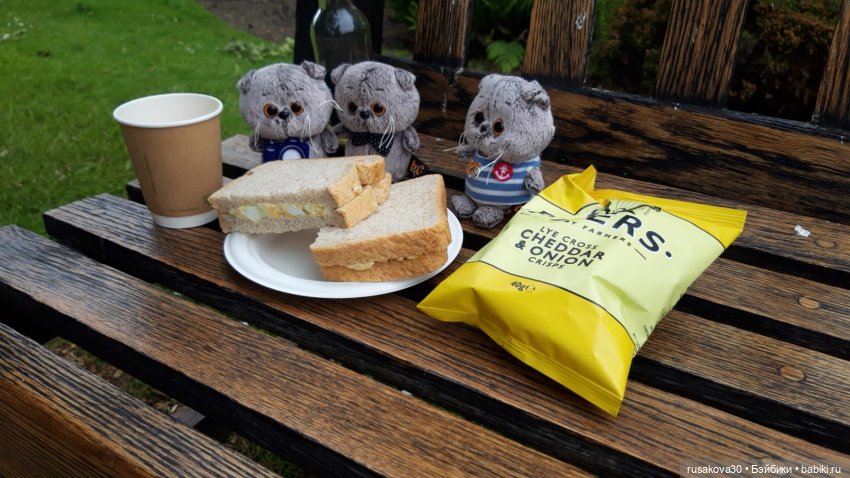 Малыши Басики и цветущие рододе́ндроны