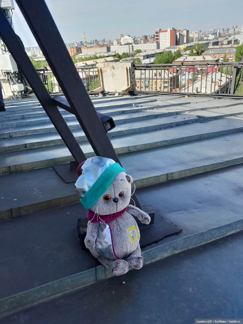 Малыши Басики и цветущие рододе́ндроны (фото 6)