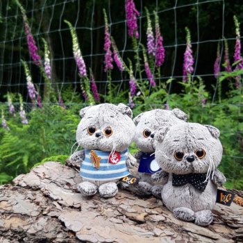 Малыши Басики и цветущие рододе́ндроны